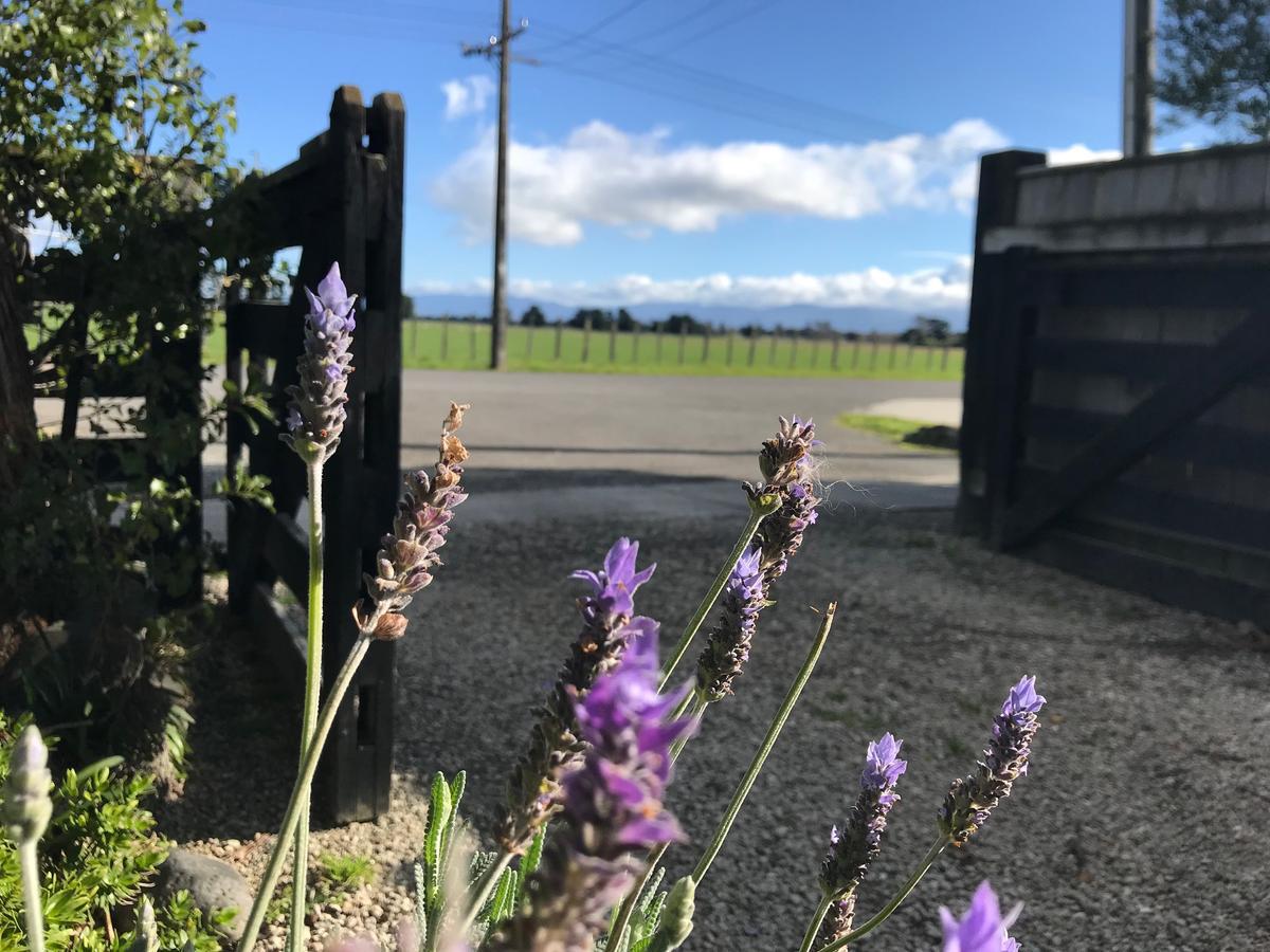 Lavender53 Villa Martinborough Eksteriør bilde